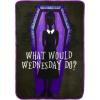 Silver Buffalo MGM The Amityville Horror “Home Sweet Home” Screen Print Plush Raschel Throw Blanket, 45″ x 60″(Wednesday the Addams Family)
