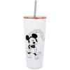 Silver Buffalo Minnie & Mickey Blowing Kiss Hearts Double Walled Stainless Steel Tumbler w Straw, 22-Ounces(22 Ounces)