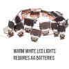 Silver Buffalo Sanrio Hello Kitty Strawberry Dress 20ct Decorative String Lights, 7 Feet Long, Battery Powered (2 AA Batteries Included), Cool White LED, Indoor Use Only(Hello Kitty Strawberry Dress)