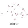 Silver Buffalo Sanrio Hello Kitty Strawberry Dress 20ct Decorative String Lights, 7 Feet Long, Battery Powered (2 AA Batteries Included), Cool White LED, Indoor Use Only(Cinnamoroll)