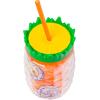 Silver Buffalo SpongeBob Double Wall Tumbler 16 oz | Gary Pineapple Design | Insulated | Hand Wash Only | For On The Go | Pack of 1