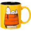 Silver Buffalo Peanuts Halloween Snoopy Trick Or Treat 20oz Ceramic Mug(Orange/Multi)
