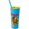 Silver Buffalo Scooby Doo Scared Shaggy Scooby Double Walled Stainless Steel Tumbler w Straw, 20 Ounces(Scooby Doo Scared Shaggy)