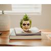 Beetlejuice Head 3-Inch Ceramic Mini Planter with Artificial Succulent | Small Flower Pot, Faux Indoor Plants For Desk Shelf, Home Decor Trinket Tray | Tim Burton Gifts and Collectibles
