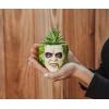 Beetlejuice Head 3-Inch Ceramic Mini Planter with Artificial Succulent | Small Flower Pot, Faux Indoor Plants For Desk Shelf, Home Decor Trinket Tray | Tim Burton Gifts and Collectibles