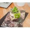 Beetlejuice Head 3-Inch Ceramic Mini Planter with Artificial Succulent | Small Flower Pot, Faux Indoor Plants For Desk Shelf, Home Decor Trinket Tray | Tim Burton Gifts and Collectibles