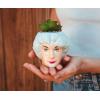 Silver Buffalo The Golden Girls Sophia Face Mini Ceramic Planter Decor | Official TV Show Collectible | Small Flower Pot for Indoor Plants, Includes Artificial Succulent | 3 Inches(White)