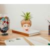 Silver Buffalo The Golden Girls Sophia Face Mini Ceramic Planter Decor | Official TV Show Collectible | Small Flower Pot for Indoor Plants, Includes Artificial Succulent | 3 Inches(Blanche)