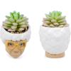 Silver Buffalo The Golden Girls Sophia Face Mini Ceramic Planter Decor | Official TV Show Collectible | Small Flower Pot for Indoor Plants, Includes Artificial Succulent | 3 Inches(Sophia)