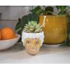Silver Buffalo The Golden Girls Sophia Face Mini Ceramic Planter Decor | Official TV Show Collectible | Small Flower Pot for Indoor Plants, Includes Artificial Succulent | 3 Inches(Sophia)