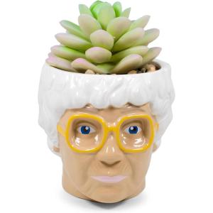Silver Buffalo The Golden Girls Sophia Face Mini Ceramic Planter Decor | Official TV Show Collectible | Small Flower Pot for Indoor Plants, Includes Artificial Succulent | 3 Inches(Sophia)