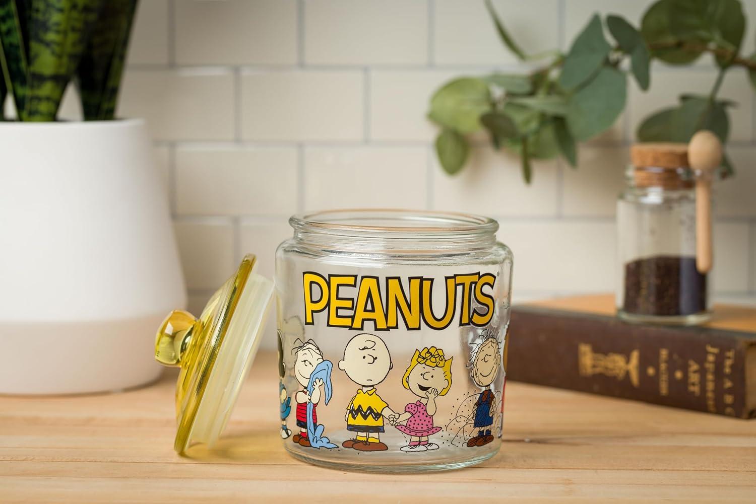 imageSilver Buffalo Peanuts Peppermint Dreams and Candy Cane Christmas Featuring Snoopy Charlie Brown Lucy Linus and Franklin Ceramic Cookie Snack Jar LargePeanuts Squad Glass