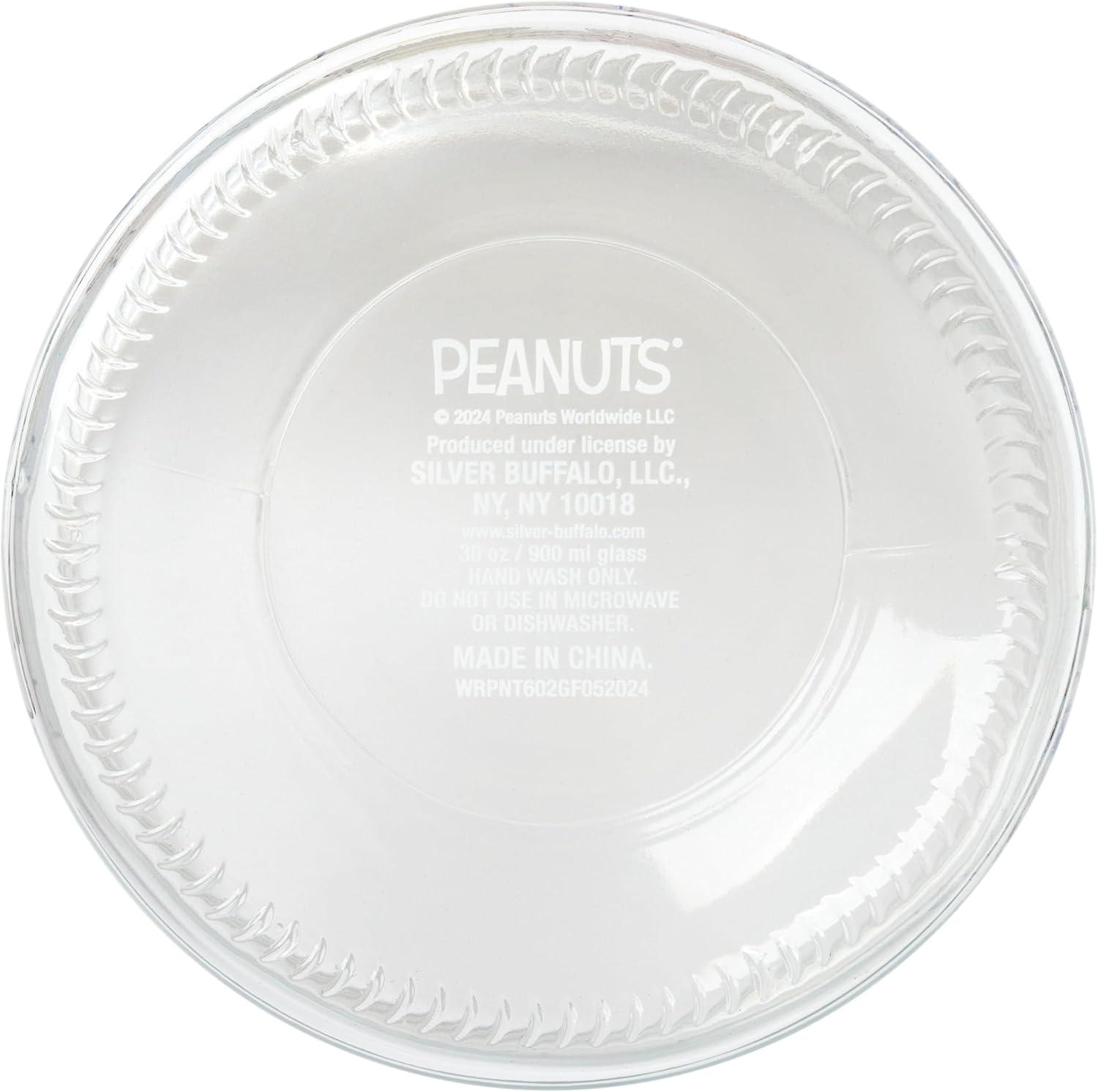 imageSilver Buffalo Peanuts Peppermint Dreams and Candy Cane Christmas Featuring Snoopy Charlie Brown Lucy Linus and Franklin Ceramic Cookie Snack Jar LargePeanuts Squad Glass