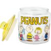 Silver Buffalo Peanuts Peppermint Dreams and Candy Cane Christmas Featuring Snoopy, Charlie Brown, Lucy, Linus, and Franklin Ceramic Cookie Snack Jar (Large)(Peanuts Squad (Glass))