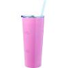 Silver Buffalo Sanrio Hello Kitty Graffiti Double Walled Stainless Steel Tumbler with Straw Featuring Hello Kitty and Joey, 22 Ounces