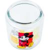 Silver Buffalo Disney Alice in Wonderland Flowers and Mushrooms Glass Cookie Snack Candy Jar with Lid (Small)(Mickey Mouse Small (Glass))