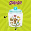 Silver Buffalo Disney Alice in Wonderland Flowers and Mushrooms Glass Cookie Snack Candy Jar with Lid (Small)(Scooby Doo Scooby Snacks Small (Glass))