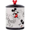 Silver Buffalo Disney Alice in Wonderland Flowers and Mushrooms Glass Cookie Snack Candy Jar with Lid (Small)(Mickey Mouse Sketches Large (Ceramic))