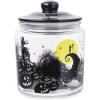 Silver Buffalo Disney Alice in Wonderland Flowers and Mushrooms Glass Cookie Snack Candy Jar with Lid (Small)(Nightmare Before Christmas Moon Hill Graveyard Scene Small (Glass))