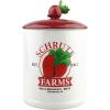 Silver Buffalo Disney Alice in Wonderland Flowers and Mushrooms Glass Cookie Snack Candy Jar with Lid (Small)(The Office Schrute Farms Large (Ceramic))