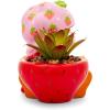 Silver Buffalo Strawberry Shortcake 4-Inch Ceramic Mini Planter with Artificial Succulent