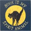 Silver Buffalo Disney Hocus Pocus “Binx is my Spirit Animal” Box Wall Sign Featuring Binx, 6″ x 6″ x 1.5″