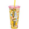 Silver Buffalo Disney Lilo and Stitch Pineapple Plastic Confetti Cold Cup with Lid and Straw, 32 Ounces(Care Bears)