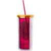 Silver Buffalo Disney Lilo and Stitch Rainbow and Pineapple Tropical Plastic Tall Cold Cup with Lid and Straw, 20 Ounces(Harry Potter Gryffindor)