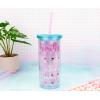 Silver Buffalo Disney Lilo and Stitch Rainbow and Pineapple Tropical Plastic Tall Cold Cup with Lid and Straw, 20 Ounces(Peppa Pig)