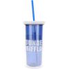 Silver Buffalo Disney Lilo and Stitch Rainbow and Pineapple Tropical Plastic Tall Cold Cup with Lid and Straw, 20 Ounces(The Office Assistant to the Regional Manager)