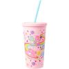 Silver Buffalo Disney Lilo and Stitch Rainbow and Pineapple Tropical Plastic Tall Cold Cup with Lid and Straw, 20 Ounces(Care Bears Matte)