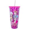 Silver Buffalo Disney Lilo and Stitch Rainbow and Pineapple Tropical Plastic Tall Cold Cup with Lid and Straw, 20 Ounces(The Golden Girls (Big))