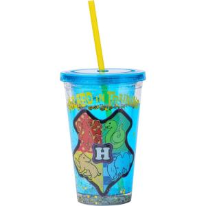 Silver Buffalo Disney Lilo and Stitch Rainbow and Pineapple Tropical Plastic Tall Cold Cup with Lid and Straw, 20 Ounces(Harry Potter Wizard in Training (Snow Globe))