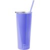 Silver Buffalo The Powerpuff Girls Featuring Bubbles, Blossom, Buttercup, and The Talking Dog Double Walled Stainless Steel Tumbler with Straw, 22 Ounces(The Little Mermaid)