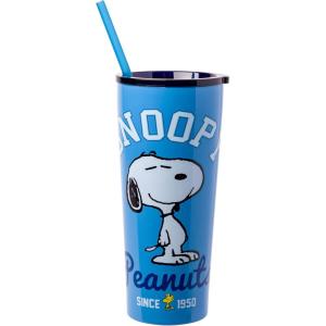 Silver Buffalo The Powerpuff Girls Featuring Bubbles, Blossom, Buttercup, and The Talking Dog Double Walled Stainless Steel Tumbler with Straw, 22 Ounces(Peanuts)