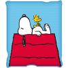 Silver Buffalo Peanuts Snoopy & Woodstock 45 x 60 Inch Fleece Throw Blanket(Peanuts Snoopy)